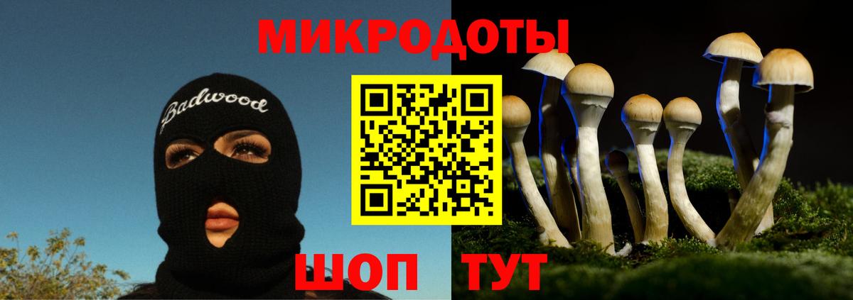 Полевской  Галлюциногенные грибы мухоморы  как найти   Галлюциногенные грибы прущие грибы  Вход с VPN 